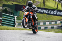 Lower Group Orange Bikes